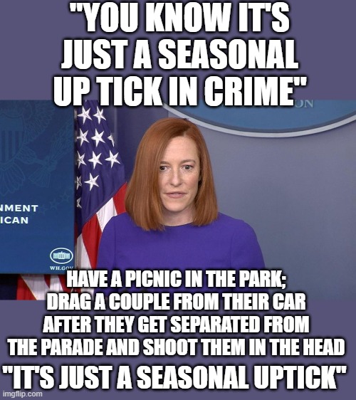 yep | "YOU KNOW IT'S JUST A SEASONAL UP TICK IN CRIME"; HAVE A PICNIC IN THE PARK; DRAG A COUPLE FROM THEIR CAR AFTER THEY GET SEPARATED FROM THE PARADE AND SHOOT THEM IN THE HEAD; "IT'S JUST A SEASONAL UPTICK" | image tagged in democrats,fascism | made w/ Imgflip meme maker