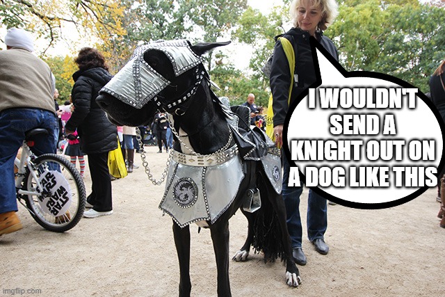 knights | I WOULDN'T SEND A KNIGHT OUT ON A DOG LIKE THIS | image tagged in knight | made w/ Imgflip meme maker