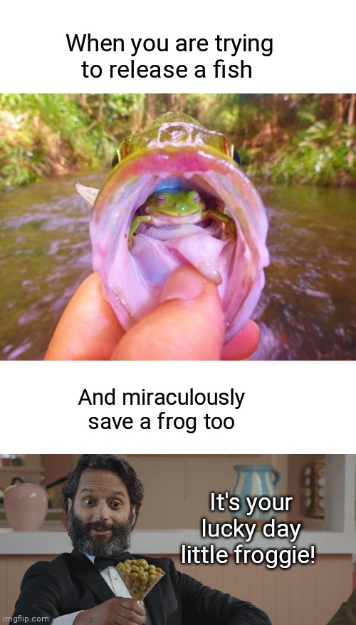 Froggie Miracle | When you are trying to release a fish; And miraculously save a frog too; It's your lucky day little froggie! | image tagged in don't mind if i do,frog,lucky,fishing,fish,sweet release | made w/ Imgflip meme maker