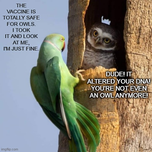 Be Ready If They Come A Knockin' | THE VACCINE IS TOTALLY SAFE FOR OWLS. I TOOK IT AND LOOK AT ME, I'M JUST FINE. DUDE! IT ALTERED YOUR DNA! YOU'RE NOT EVEN AN OWL ANYMORE! | image tagged in memes,vaccine,covid,owls,fauci,wuhan | made w/ Imgflip meme maker