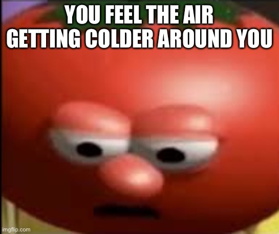 Sad tomato | YOU FEEL THE AIR GETTING COLDER AROUND YOU | image tagged in sad tomato | made w/ Imgflip meme maker