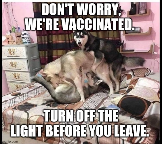 DOG PARTY | DON'T WORRY, WE'RE VACCINATED. TURN OFF THE LIGHT BEFORE YOU LEAVE. | image tagged in dog party | made w/ Imgflip meme maker