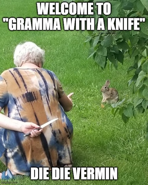 grandma hiding knife rabbit |  WELCOME TO "GRAMMA WITH A KNIFE"; DIE DIE VERMIN | image tagged in grandma hiding knife rabbit | made w/ Imgflip meme maker