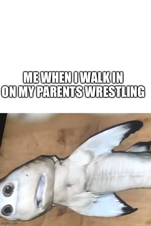 Woah | ME WHEN I WALK IN ON MY PARENTS WRESTLING | image tagged in blank white template,sherk | made w/ Imgflip meme maker