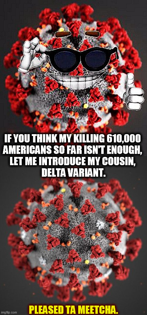 He's mean. | IF YOU THINK MY KILLING 610,000 

AMERICANS SO FAR ISN'T ENOUGH, 
LET ME INTRODUCE MY COUSIN, 
DELTA VARIANT. PLEASED TA MEETCHA. | image tagged in covid virus smile,covid 19,delta,disease,death | made w/ Imgflip meme maker