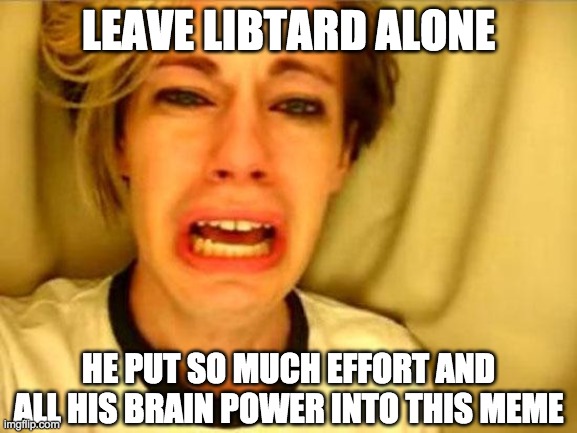 Leave Britney Alone | LEAVE LIBTARD ALONE HE PUT SO MUCH EFFORT AND ALL HIS BRAIN POWER INTO THIS MEME | image tagged in leave britney alone | made w/ Imgflip meme maker