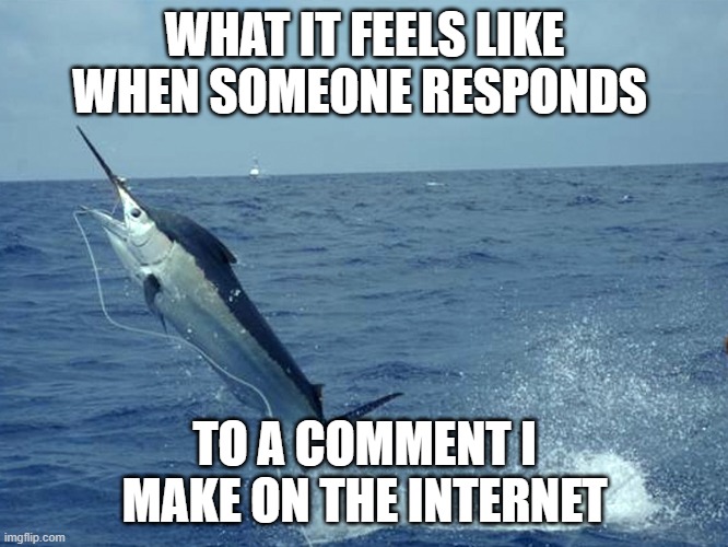 Trolling | WHAT IT FEELS LIKE WHEN SOMEONE RESPONDS; TO A COMMENT I MAKE ON THE INTERNET | image tagged in internet trolls,trolling,fishing | made w/ Imgflip meme maker