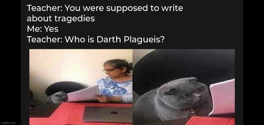 made w/ Imgflip meme maker