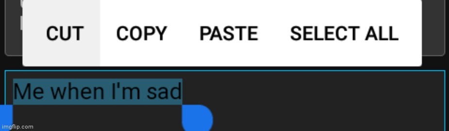 Look at which button is highlighted | made w/ Imgflip meme maker