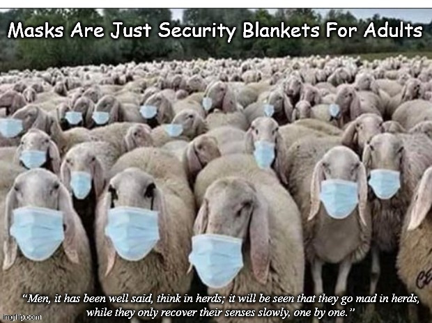Covitards | Masks Are Just Security Blankets For Adults; “Men, it has been well said, think in herds; it will be seen that they go mad in herds,
while they only recover their senses slowly, one by one.” | image tagged in political memes,stupid sheep,face mask,covid-19,virtue signalling,libtards | made w/ Imgflip meme maker