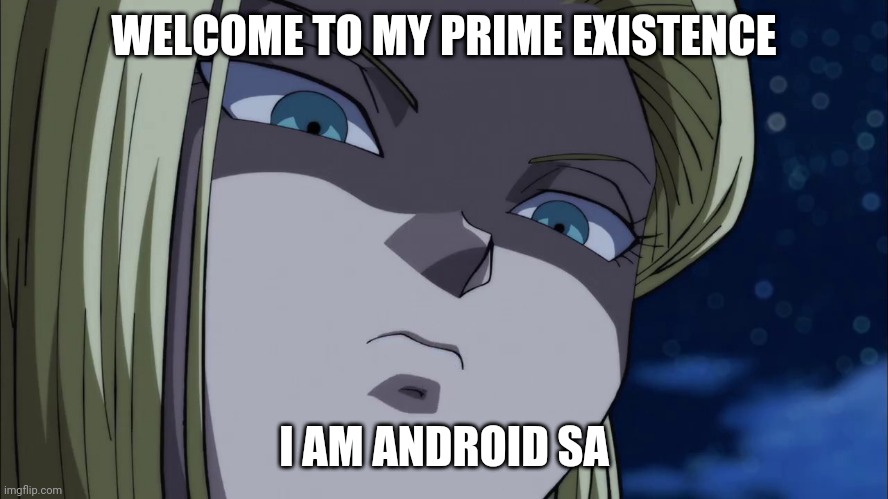 Android Samus Aran in Metroid Prime 4 | WELCOME TO MY PRIME EXISTENCE; I AM ANDROID SA | image tagged in mad android 18 | made w/ Imgflip meme maker