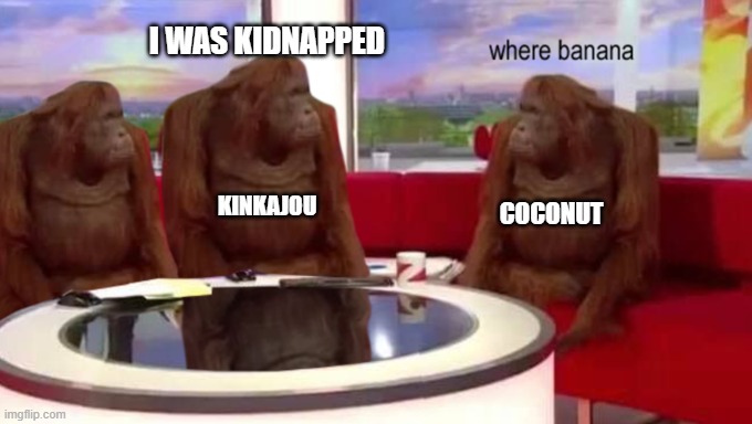 That boi cares more about food than her... | I WAS KIDNAPPED; KINKAJOU; COCONUT | image tagged in where banana,wof,wings of fire | made w/ Imgflip meme maker