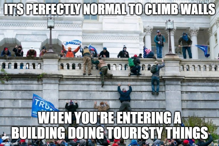 Wall | IT'S PERFECTLY NORMAL TO CLIMB WALLS; WHEN YOU'RE ENTERING A BUILDING DOING TOURISTY THINGS | image tagged in wall | made w/ Imgflip meme maker