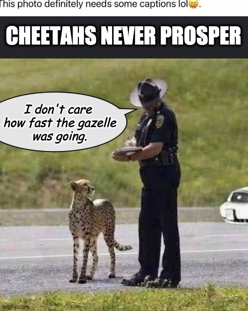 Speeding in a school zone | CHEETAHS NEVER PROSPER; I don't care 
how fast the gazelle
was going. | image tagged in speeding ticket,cheetah,totally busted | made w/ Imgflip meme maker