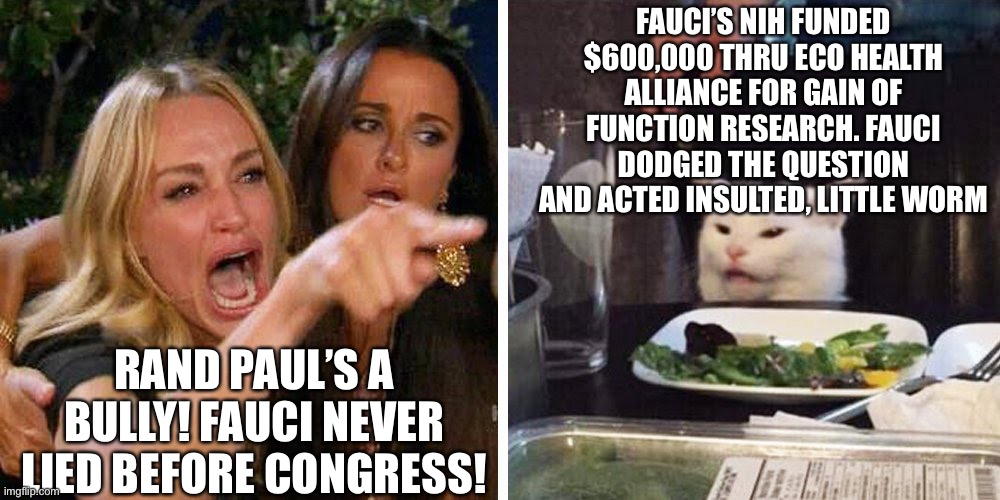 Fauci Says He Never Lied To Congress About Gain Of Function Research! | FAUCI’S NIH FUNDED $600,000 THRU ECO HEALTH ALLIANCE FOR GAIN OF FUNCTION RESEARCH. FAUCI DODGED THE QUESTION AND ACTED INSULTED, LITTLE WORM; RAND PAUL’S A BULLY! FAUCI NEVER LIED BEFORE CONGRESS! | image tagged in smudge the cat,fauci funded gain of function research,rand paul,corona virus nih funding,gain of function,memes | made w/ Imgflip meme maker