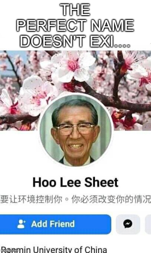 Hoo Lee Sheet | THE PERFECT NAME DOESN'T EXI.... | image tagged in discovering something that doesn't exist,doesn't exist | made w/ Imgflip meme maker