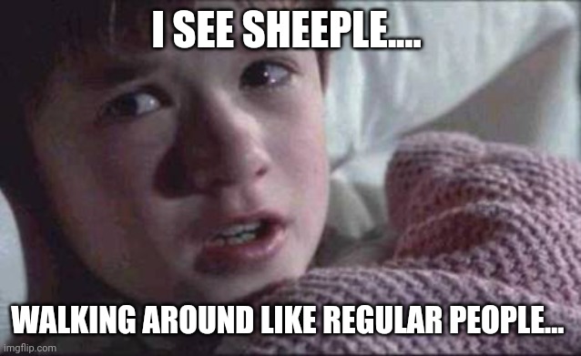 I See Dead People | I SEE SHEEPLE.... WALKING AROUND LIKE REGULAR PEOPLE... | image tagged in memes,i see dead people | made w/ Imgflip meme maker