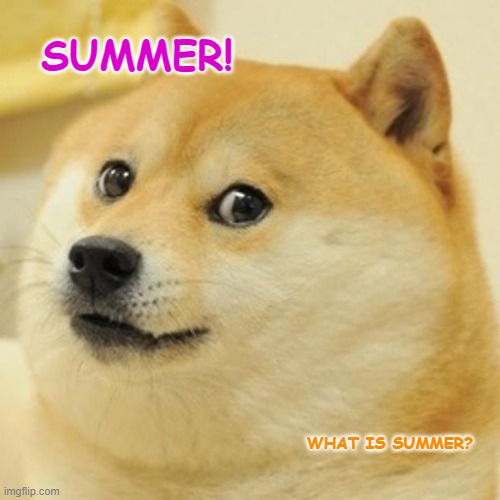 Summer | SUMMER! WHAT IS SUMMER? | image tagged in memes,doge | made w/ Imgflip meme maker