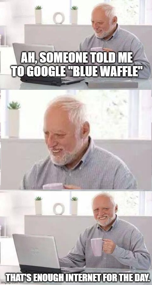 AH, SOMEONE TOLD ME TO GOOGLE "BLUE WAFFLE"; THAT'S ENOUGH INTERNET FOR THE DAY. | image tagged in memes,hide the pain harold | made w/ Imgflip meme maker