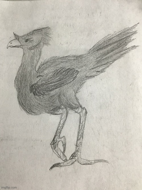 Here’s my handdrawn version of the black Chocobo from the two chocobos template. I hope you like it! | made w/ Imgflip meme maker