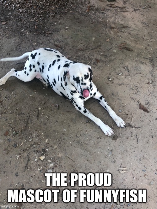 Mule dog | THE PROUD MASCOT OF FUNNYFISH | image tagged in dog | made w/ Imgflip meme maker