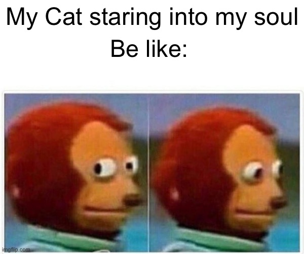 Cats | My Cat staring into my soul; Be like: | image tagged in memes,monkey puppet | made w/ Imgflip meme maker