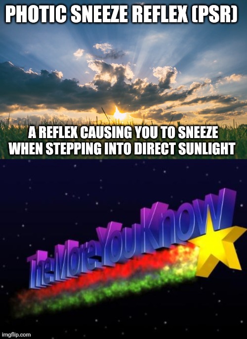 Who knew | PHOTIC SNEEZE REFLEX (PSR); A REFLEX CAUSING YOU TO SNEEZE WHEN STEPPING INTO DIRECT SUNLIGHT | image tagged in the more you know | made w/ Imgflip meme maker