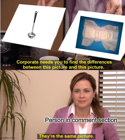 They wrote dipper instead of diaper | Person in comment section | image tagged in memes,they're the same picture | made w/ Imgflip meme maker
