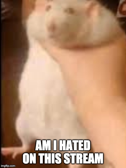 Man holding hamster | AM I HATED ON THIS STREAM | image tagged in man holding hamster | made w/ Imgflip meme maker