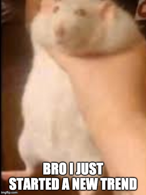 Man holding hamster | BRO I JUST STARTED A NEW TREND | image tagged in man holding hamster | made w/ Imgflip meme maker