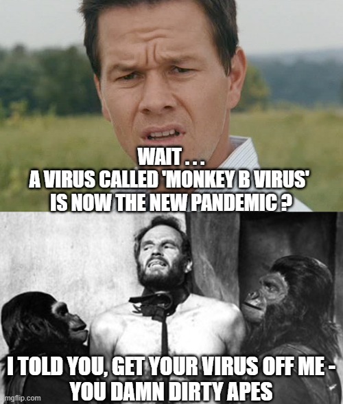 Damn, Dirty Virus | WAIT . . .
A VIRUS CALLED 'MONKEY B VIRUS' 
IS NOW THE NEW PANDEMIC ? I TOLD YOU, GET YOUR VIRUS OFF ME -
YOU DAMN DIRTY APES | image tagged in monkey b virus,fauci,biden,covid-19,vaccine,liberals | made w/ Imgflip meme maker