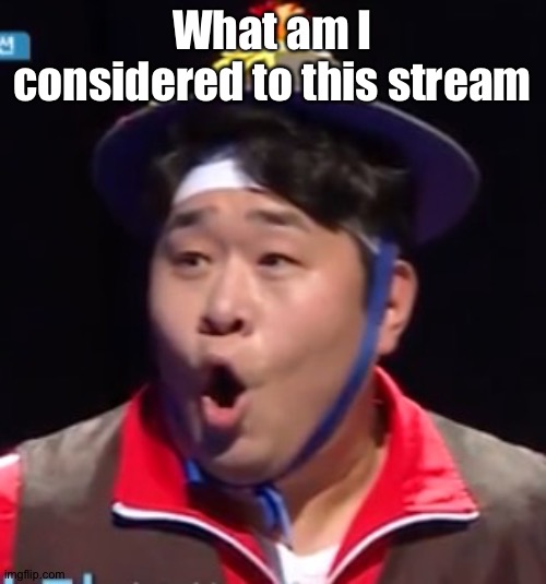 L | What am I considered to this stream | image tagged in pogging seyoon higher quality | made w/ Imgflip meme maker