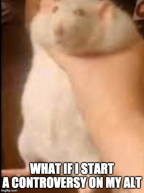 Man holding hamster | WHAT IF I START A CONTROVERSY ON MY ALT | image tagged in man holding hamster | made w/ Imgflip meme maker
