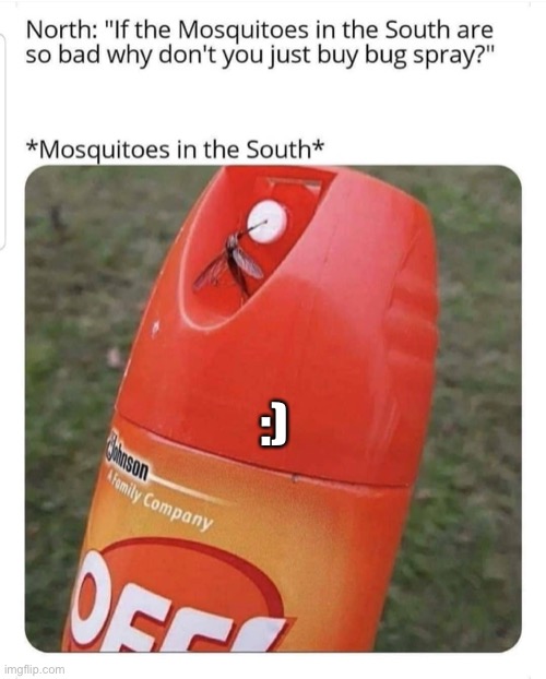 Those friggin mosquitos man! | :) | image tagged in memes,funny memes,one does not simply,funny,cursed,lol | made w/ Imgflip meme maker