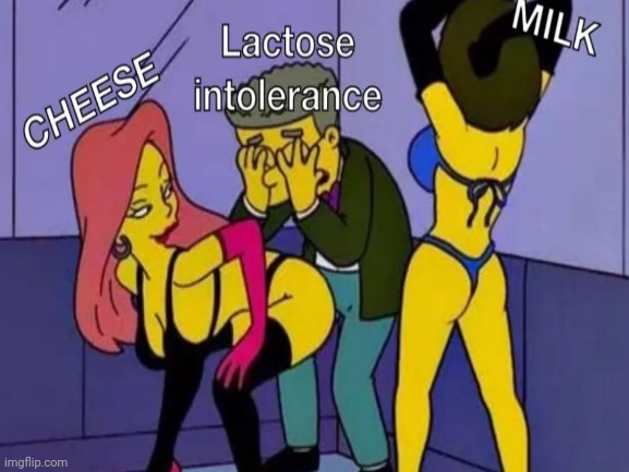 CHEESE | image tagged in cheese,milk,lactose intolerant | made w/ Imgflip meme maker