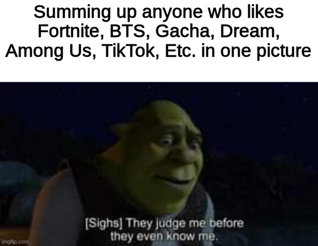Summing up anyone who likes Fortnite, BTS, Gacha, Dream, Among Us, TikTok, Etc. in one picture | image tagged in memes,shrek | made w/ Imgflip meme maker