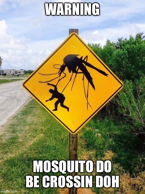 mosquito | WARNING MOSQUITO DO BE CROSSIN DOH | image tagged in mosquito | made w/ Imgflip meme maker
