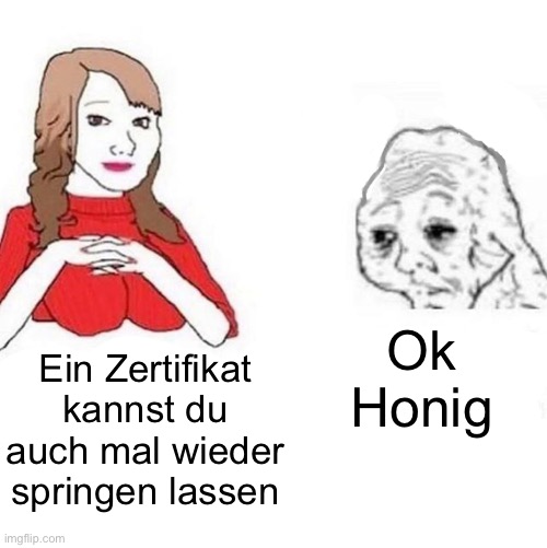 Yes Honey | Ok Honig; Ein Zertifikat kannst du auch mal wieder springen lassen | image tagged in yes honey | made w/ Imgflip meme maker