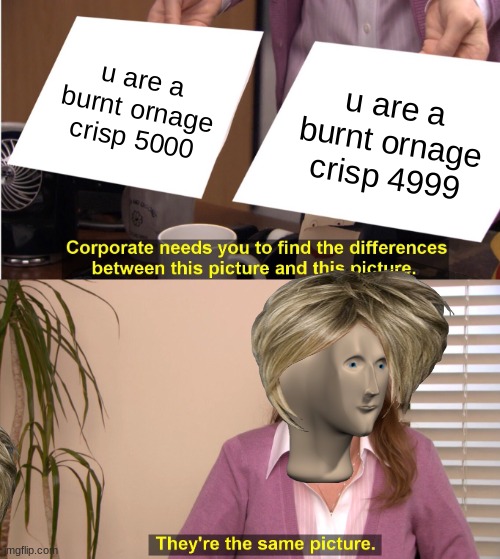 They're The Same Picture Meme | u are a burnt ornage crisp 5000; u are a burnt ornage crisp 4999 | image tagged in memes,they're the same picture | made w/ Imgflip meme maker