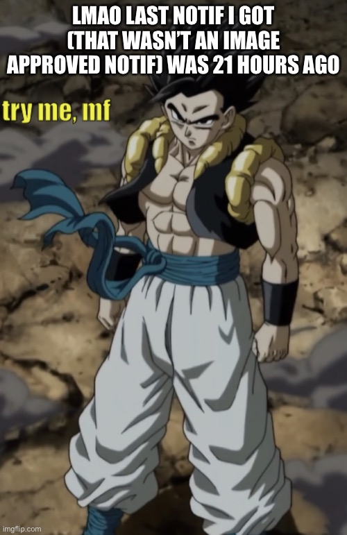 Gogeta try me | LMAO LAST NOTIF I GOT (THAT WASN’T AN IMAGE APPROVED NOTIF) WAS 21 HOURS AGO | image tagged in gogeta try me | made w/ Imgflip meme maker