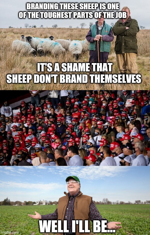 Sheep with worse teeth | BRANDING THESE SHEEP IS ONE OF THE TOUGHEST PARTS OF THE JOB; IT'S A SHAME THAT SHEEP DON'T BRAND THEMSELVES; WELL I'LL BE... | image tagged in maga,donald trump,sheeple | made w/ Imgflip meme maker