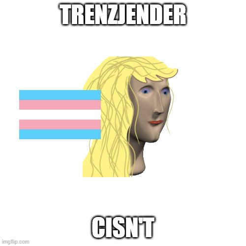 transgender | TRENZJENDER; CISN'T | image tagged in memes,blank transparent square | made w/ Imgflip meme maker