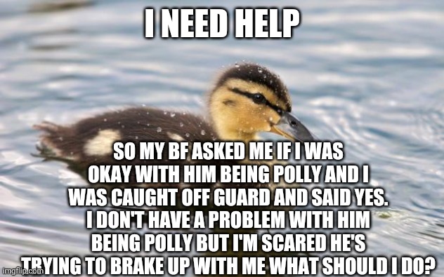 I need advice duckling | I NEED HELP; SO MY BF ASKED ME IF I WAS OKAY WITH HIM BEING POLLY AND I WAS CAUGHT OFF GUARD AND SAID YES. I DON'T HAVE A PROBLEM WITH HIM BEING POLLY BUT I'M SCARED HE'S TRYING TO BRAKE UP WITH ME WHAT SHOULD I DO? | image tagged in i need advice duckling | made w/ Imgflip meme maker