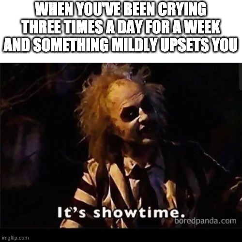 WHEN YOU'VE BEEN CRYING THREE TIMES A DAY FOR A WEEK AND SOMETHING MILDLY UPSETS YOU | made w/ Imgflip meme maker