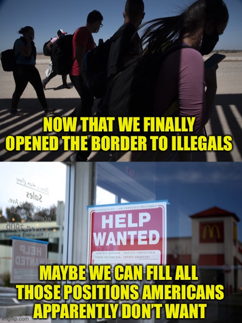 When The Labor Floods In | NOW THAT WE FINALLY OPENED THE BORDER TO ILLEGALS; MAYBE WE CAN FILL ALL 
THOSE POSITIONS AMERICANS
APPARENTLY DON’T WANT | image tagged in illegal immigration,labor shortage,labor surplus | made w/ Imgflip meme maker