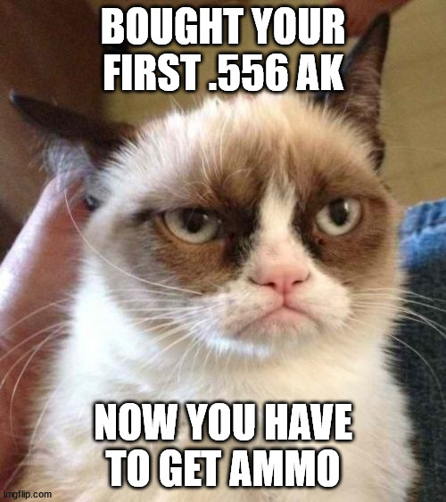 Grumpy Cat Reverse Meme | BOUGHT YOUR FIRST .556 AK; NOW YOU HAVE TO GET AMMO | image tagged in memes,grumpy cat reverse,grumpy cat | made w/ Imgflip meme maker