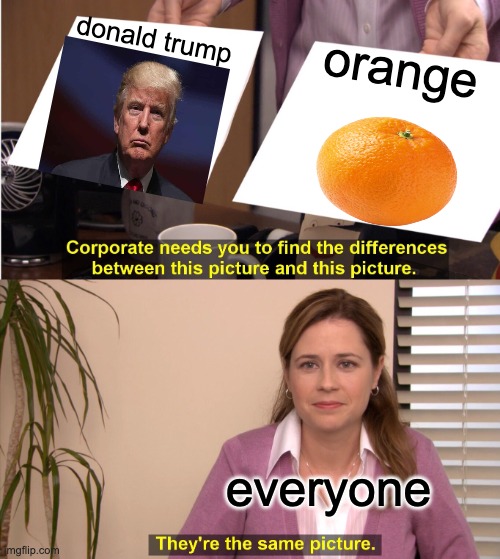 They're The Same Picture | donald trump; orange; everyone | image tagged in memes,they're the same picture | made w/ Imgflip meme maker