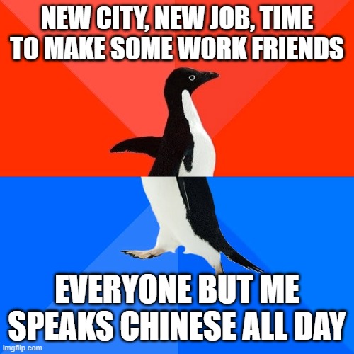 Socially Awesome Awkward Penguin | NEW CITY, NEW JOB, TIME TO MAKE SOME WORK FRIENDS; EVERYONE BUT ME SPEAKS CHINESE ALL DAY | image tagged in memes,socially awesome awkward penguin,AdviceAnimals | made w/ Imgflip meme maker