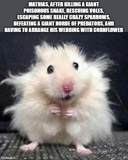 Stressed Mouse | MATHIAS, AFTER KILLING A GIANT POISONOUS SNAKE, RESCUING VOLES, ESCAPING SOME REALLY CRAZY SPARROWS, DEFEATING A GIANT HORDE OF PREDATORS, AND HAVING TO ARRANGE HIS WEDDING WITH CORNFLOWER | image tagged in stressed mouse | made w/ Imgflip meme maker