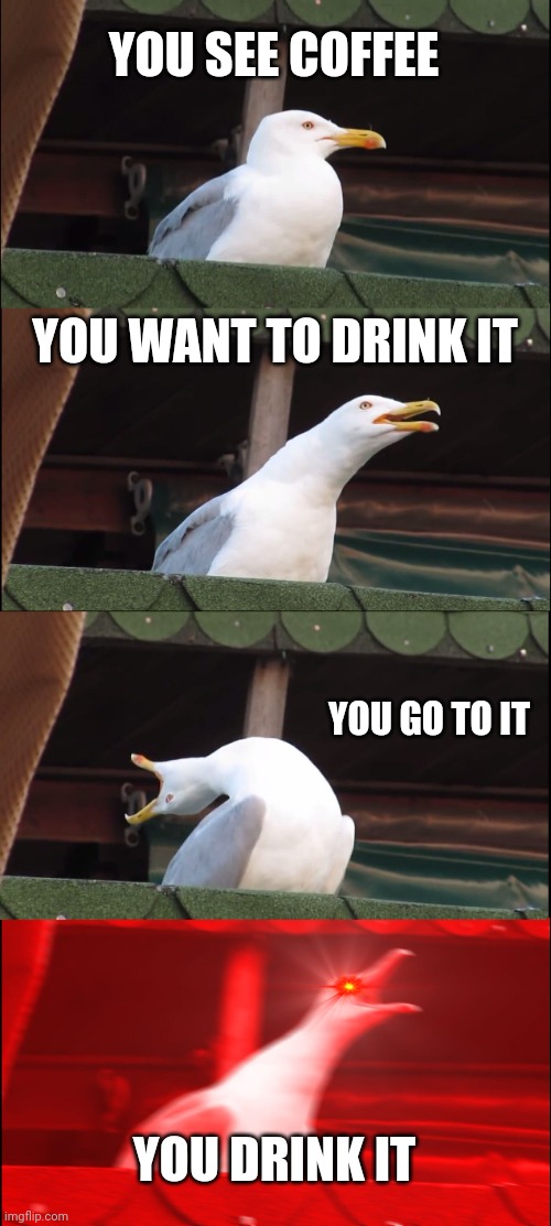 Inhaling Seagull Meme | YOU SEE COFFEE; YOU WANT TO DRINK IT; YOU GO TO IT; YOU DRINK IT | image tagged in memes,inhaling seagull | made w/ Imgflip meme maker
